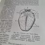 Modern Professional Nursing Complete Set Image 8