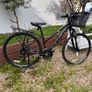 Carrera Crossfire II Ladies Bike Image 2