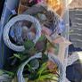 wreath making free Image 2