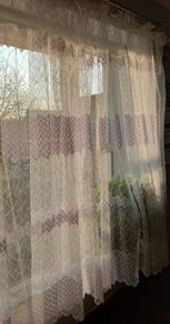 Net  curtains XXL