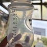 Philips Avent baby bottles Image 2