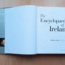 "The Encyclopaedia of Ireland" by Brian Lalor  hardback with dust cover  2003 Image 2