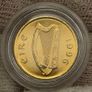 Ireland 1996 5p Five Pence Gold and Silver Plated Coin Image 2