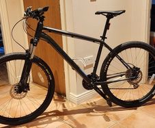 Large Cannondale Mountain Bike