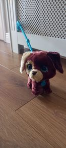 Dog toy on lead