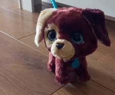 Dog toy on lead