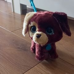 Dog toy on lead