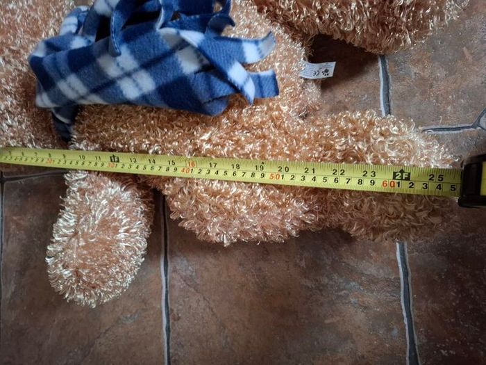 Beautifully Soft Teddy Bear