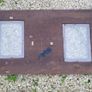 Antique arts & crafts carved wood photo frame Image 4