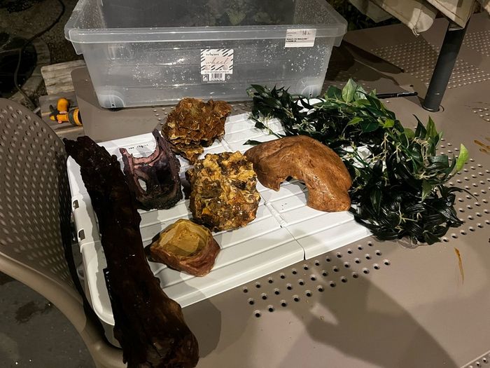 Terrarium/Vivarium with Accessories - Excellent Condition