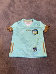 Limerick GAA training jersey