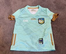 Limerick GAA training jersey