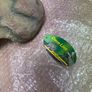 reptile cave Image 2