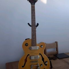 Guitar