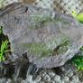 Reptile enclosure Image 6