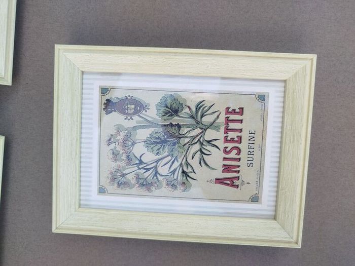 Set of 3 Vintage French Botanical / Botanical Beverage Framed Prints (Pineapple, Apricot, Anisette)