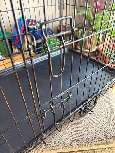 Dog crate with foam mattress