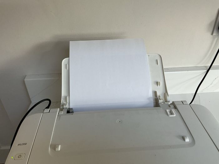 Canon Pixma MG2550 Printer/Scanner - No ink