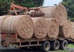 Round Hay Bales