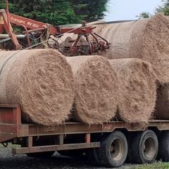 Round Hay Bales