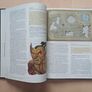 Dungeons & Dragons Acquisitions Incorporated (D&D Fantasy Campaign Accessory Hardback Book 2019) Image 8