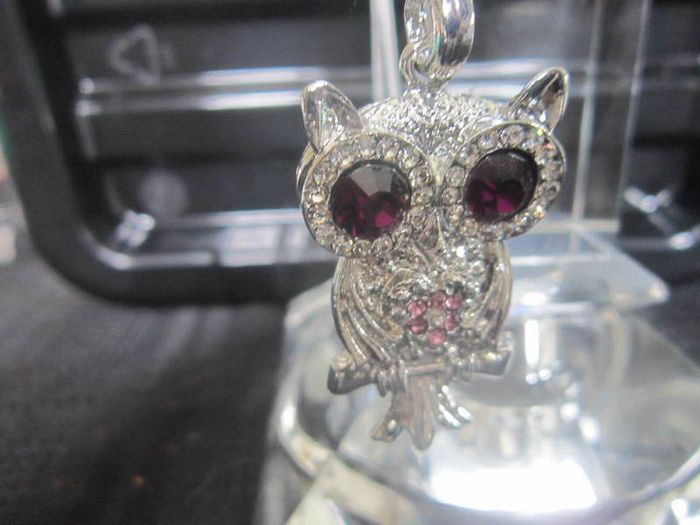 Cute Owl Pendant and Chain