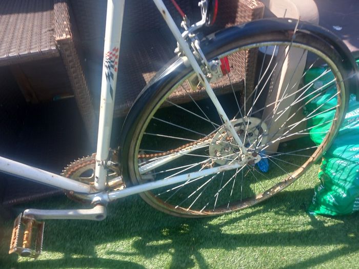 raleigh road bike