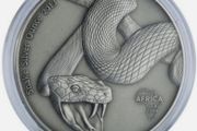 Gabon African Snake silver coin 2013 antique