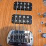 bass Image 8