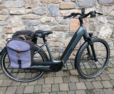Electric bike