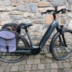 Electric bike