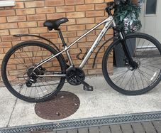 Trek dual sport 7