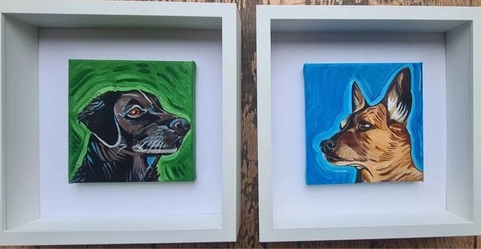 Pet Portraits