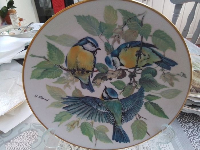 Collectors plate