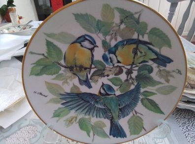 Collectors plate