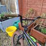 Mongoose bmx Image 6