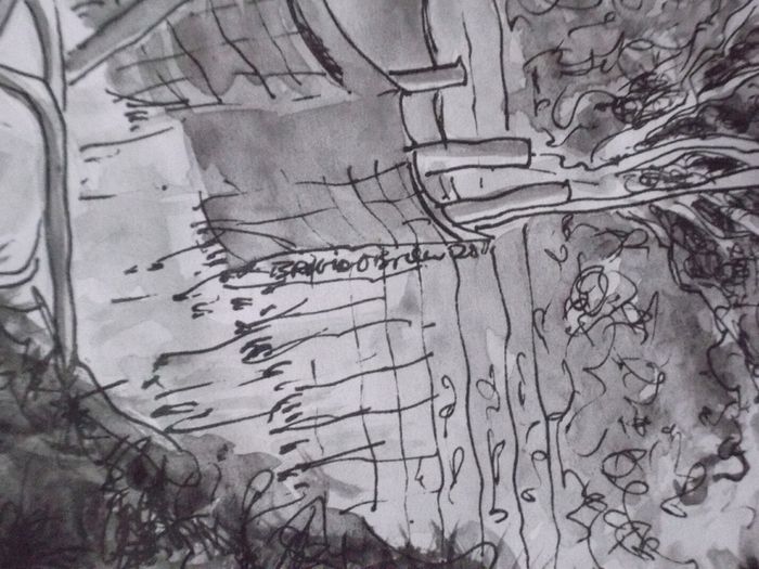 a pen ank drawing by bridget o,brien signed