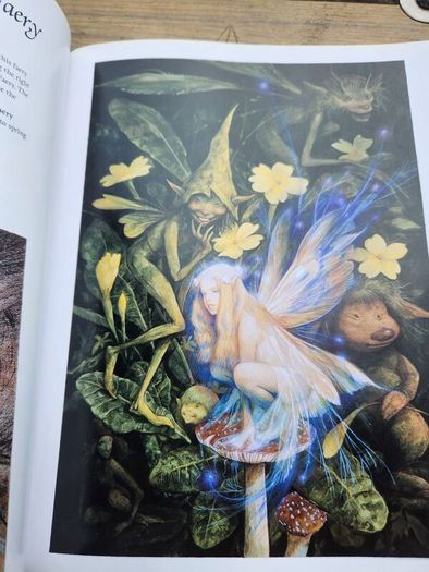 Good Faeries Bad Faeries. By Brian Froud. Edited By  Terri Windling. First Edition Large Volume Paperback In Very Good Condition.