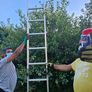 Multi purpose aluminium ladder Image 4