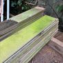 Free firewood Image 4