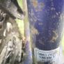 Dawes 531 bike Image 4