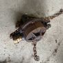 Pto water pump Image 2