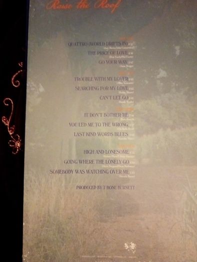 Lp Robert Plant And Alison Krauss Raised The Roof Double Lp Yellow Vinyl Brand New