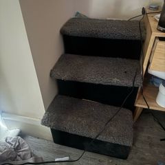 dog steps