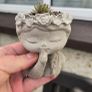 small handmade flower pots with real plants Image 5