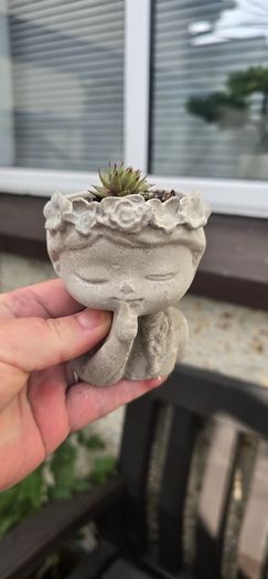 small handmade flower pots with real plants