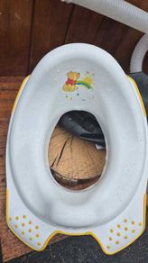 Childs toilet seat