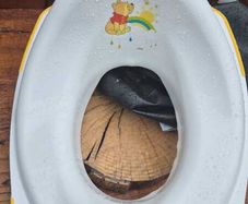 Childs toilet seat