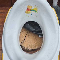 Childs toilet seat