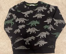 boys sweatshirt 5-6